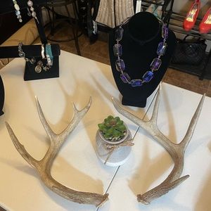 🦌5x4 Matching whitetail antler set